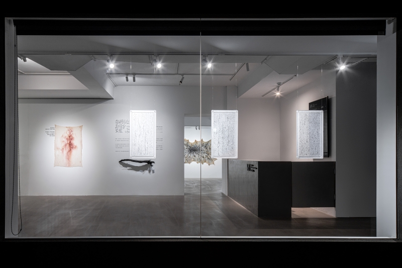 當細語在黑暗繁殖｜王千華個展｜王千華｜國藝會補助成果檔案庫
